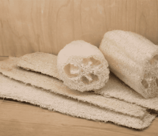 На Херсонщині з гарбуза виготовляють екологічно чисті губки губки