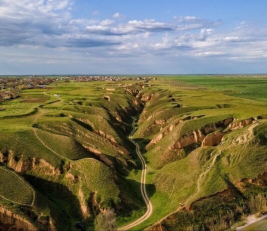 «Вікі любить землю»: визначено найкрасивіший знімок Херсонської області