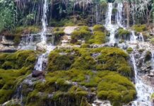 Уникальные водопады на Херсонщине