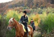 Кінні прогулянки та іпотерапія на Херсонщині коні