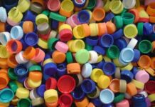 У Херсоні хочуть створити молодіжний екологічний центр