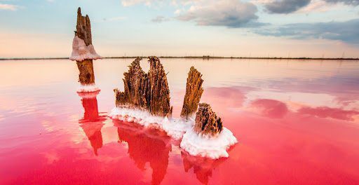 Озеро Сиваш на Херсонщині: історія виникнення, лікувальні властивості та цікаві факти