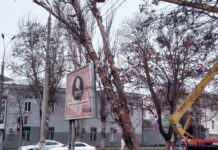 В Херсоне стартовал массовый снос аварийных деревьев