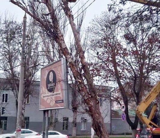 В Херсоне стартовал массовый снос аварийных деревьев