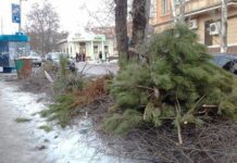 Херсонцев ждут крупные штрафы за выброс елок в неустановленных местах