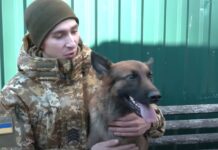Овчарка из херсонского пограничного отряда стала звездой TikTok