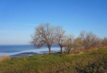 Ягорлицький заказник – природна зона Херсонщини, де зупиняються рідкісні породи птахів у період міграції