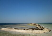 Каланчацькі острови – природне багатство Херсонського краю