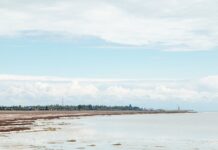 Турецька бухта – прекрасна локація у Скадовську, про яку не знає більшість туристів