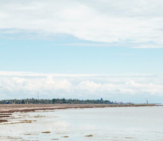 Турецька бухта – прекрасна локація у Скадовську, про яку не знає більшість туристів