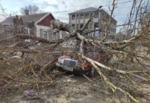 У центрі Херсона дерево впало на авто: водій встиг вискочити в останню секунду