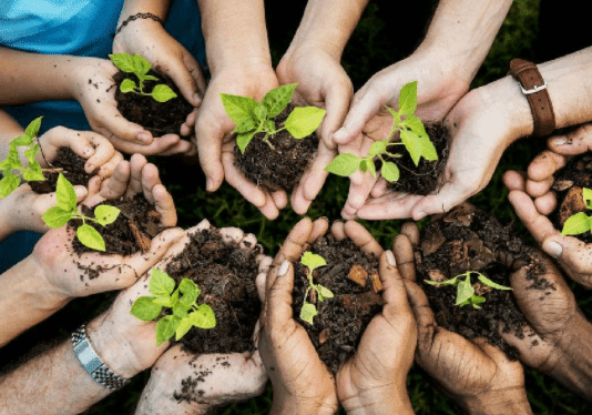 Херсонщина опинилася на 15 місці в екологічному рейтингу