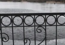 На Херсонщине брат с сестрой провалились под лед: их спас работник местного яхт-клуба