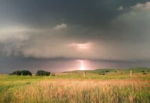 Примхи погоди в Херсоні на початку ХХ ст. та їх наслідки