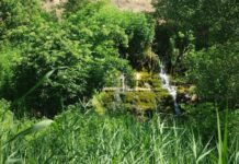 Степові водоспади біля руїн садиби Трубецького – історія загадкової водойми