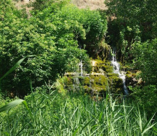 Степові водоспади біля руїн садиби Трубецького – історія загадкової водойми