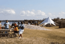 “Скіфські” устриці Андрія Пигулевського