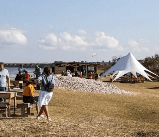 “Скіфські” устриці Андрія Пигулевського