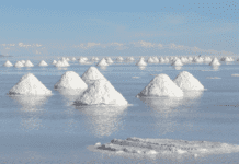 Херсонщина – регіон, багатий сіллю