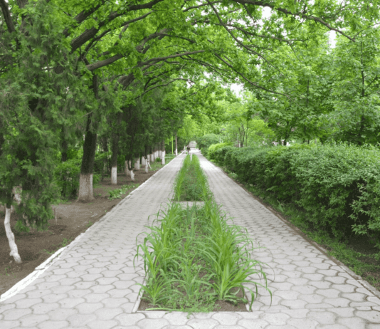 Озеленення старого Херсона