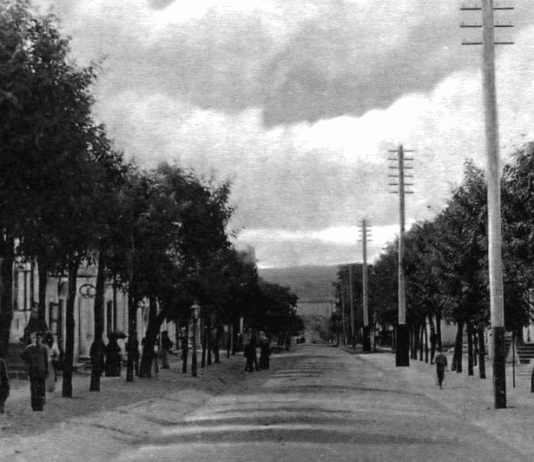 Коли Херсон «засяяв»: історія першої електростанції