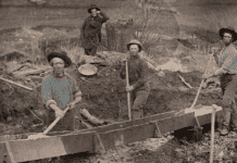 “Оманливий” видобуток золота в Херсоні