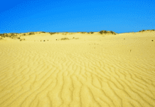 Таємничі та загадкові херсонські піски