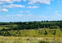 Організація «ВЕЛ»: як на Херсонщині борються за чисте довкілля