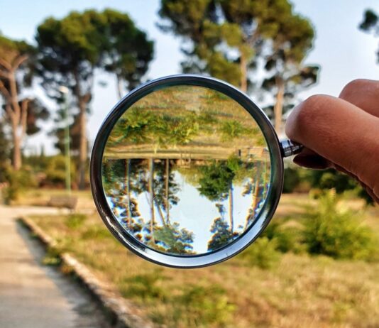 Оцінка впливу на довкілля: вимоги та етапи