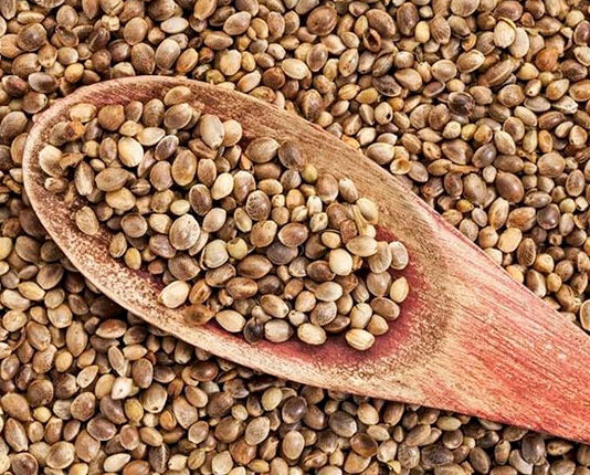 Користь насіння конопель: чому вони вважаються суперфудом?